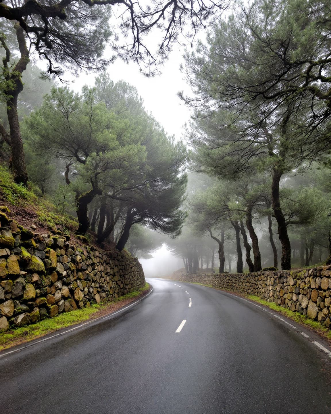 طريق في جبال عسير · Mountain road through the Asir highlands